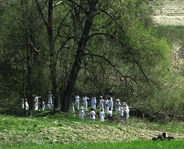 Frühlingsfest - im Grünen